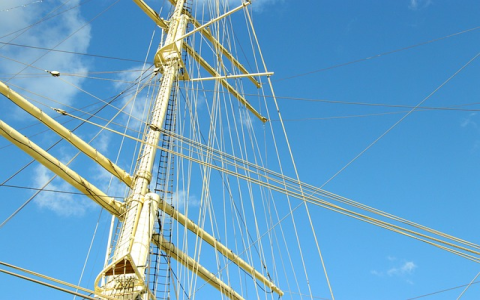 Tiktok广告开户白名单是什么意思