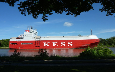 加拿大主流电商平台有哪些？