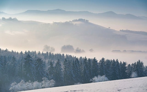 如何注册twitter账号