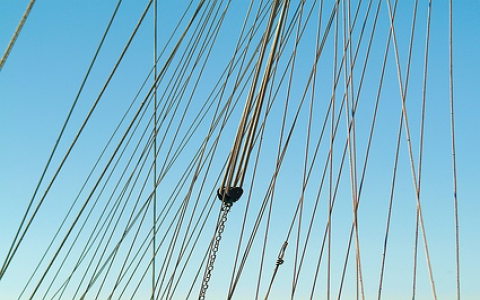 亚马逊怎么赶跟卖_3