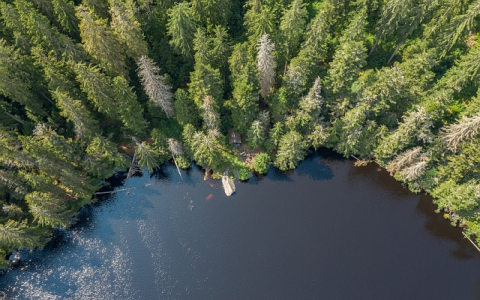 亚马逊留评率多少合适-留评的时候需要注意什么-