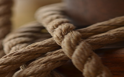 亚马逊买一赠一：电商促销新趋势