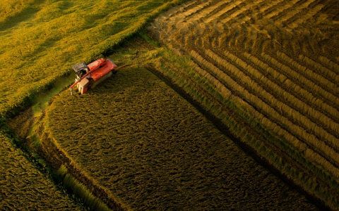 lazada越南站怎么样