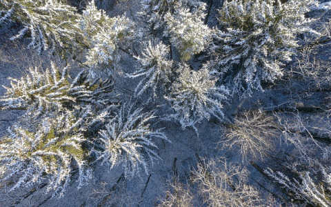 亚马逊零计划的作用是什么？
