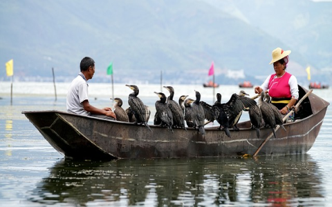 facebook开户要几天