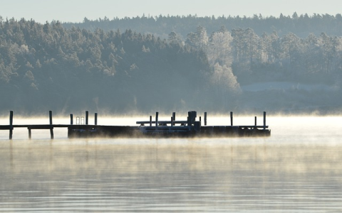 ins怎么保存图片？