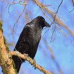 独立站建站案例_2