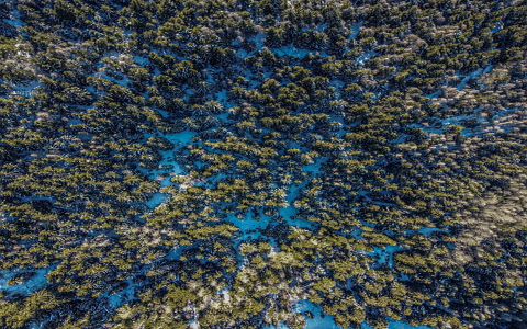 dotd亚马逊是什么