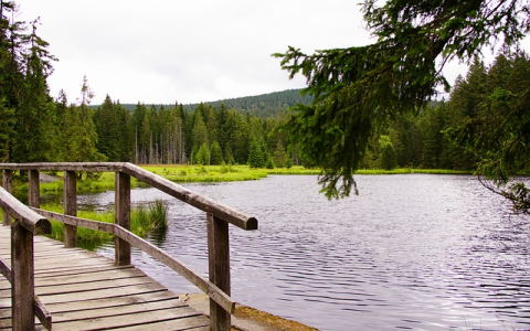 如何进行亚马逊市场调研分析?