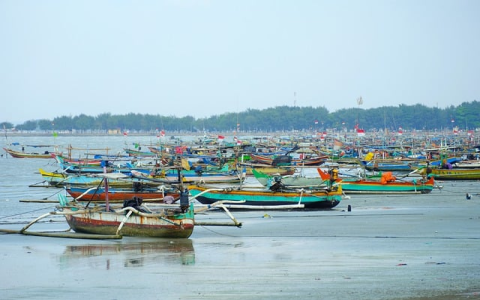 Shopee店群模式怎么做