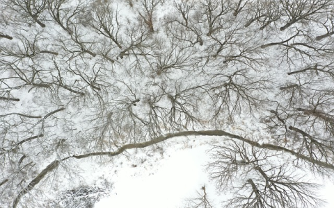 tiktok注册登录教程