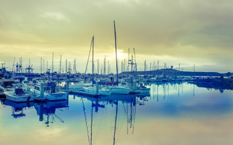 亚马逊业务报告：电商发展的风向标