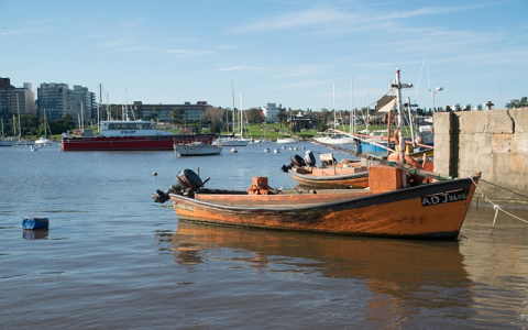 亚马逊roas是什么意思