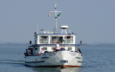 亚马逊vine是什么意思？