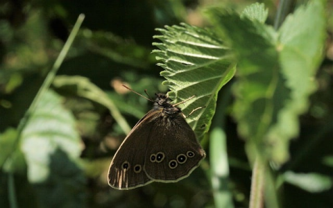 eBay:从小众拍卖网站到全球电商巨头的演变之路