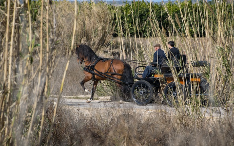 亚马逊欧洲站vat怎么申请