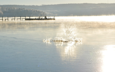 亚马逊退货率多少正常？如何减少退货率