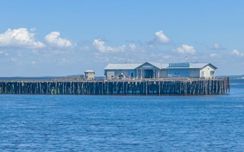 美国外观专利费用有哪些(美国外观专利费用有哪些项目)