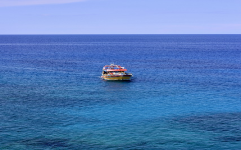 海关清关20多天正常吗