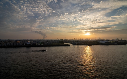 申请人和被申请人分别是什么