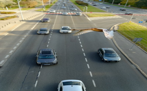 注册公司流程及所需资料