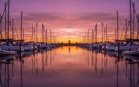 棒谷供应商系统