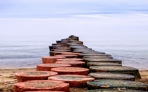 lazada全是付费流量怎么办