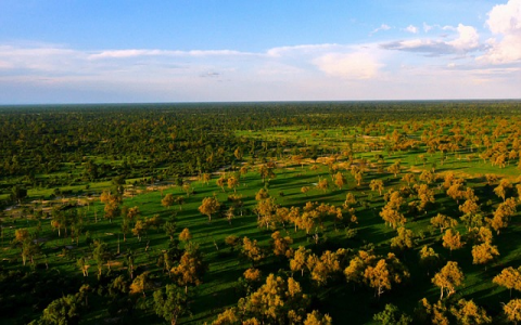 PCT专利与普通专利的区别在哪？