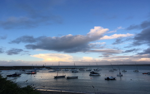 lazada店铺利润表怎么做