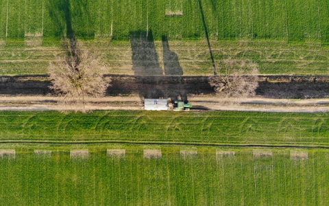 英国的法定公共假日