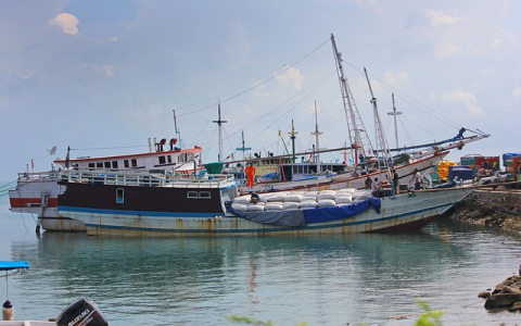 lazada的链接被限流怎么看