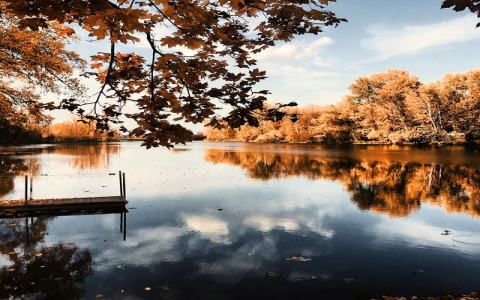 lazada上面怎么上传淘宝