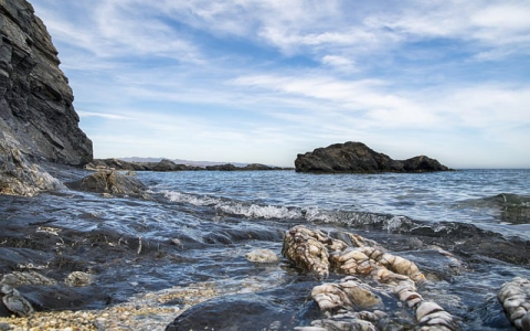 江苏直营海外仓价格多少