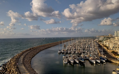 invoice是什么意思