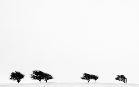 南方网通外贸建站