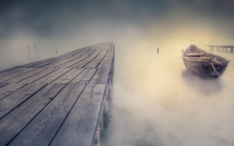 lazada店铺应该看什么