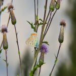 海外仓如何开发