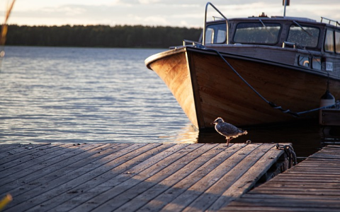 lazada买家怎么看快递状态