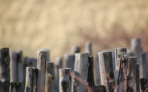 FBW海外仓与WE有什么区别