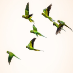 eori和vat有区别吗