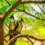 小红书推广怎么做