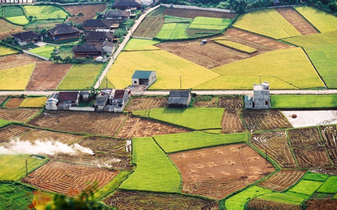 WordPress主题开发教程