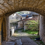 船东提单和货代提单的区别和联系