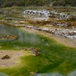 出口墨西哥需要什么认证