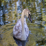 深圳跨境电商有哪些？