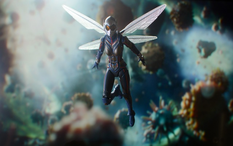 Wayfair正式加盟,备受瞩目。