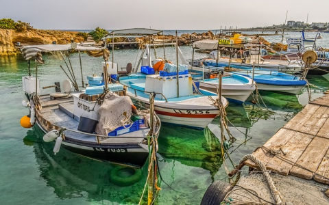 运营分为哪几类