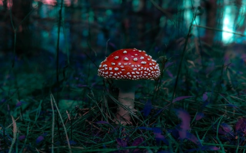 智能获客系统好用么