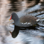 电商ROI究竟为何意？
