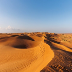 酷胖怎么入驻_2